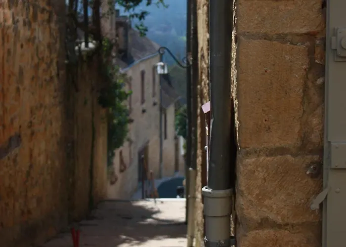 Maison De La Lafone Domme